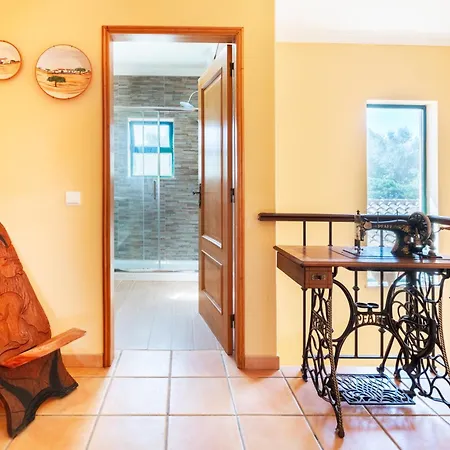 Orange Tree In Villa *