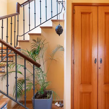 Villa Orange Tree In *