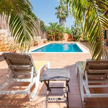 Orange Tree In Villa