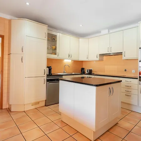 Orange Tree In Alvor